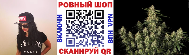 МЕФ Зеленокумск