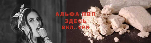эйфоретик Ельня