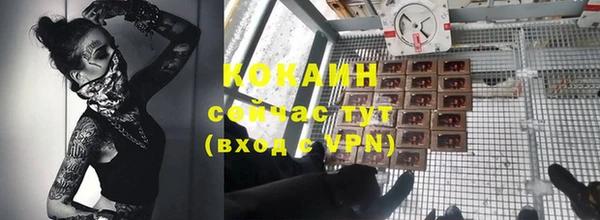 гидра Елабуга