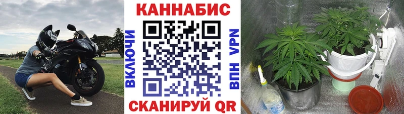 МАРИХУАНА VHQ  Зеленокумск 
